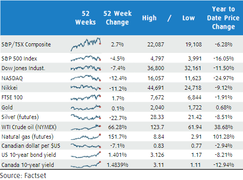 What to do in a bear market