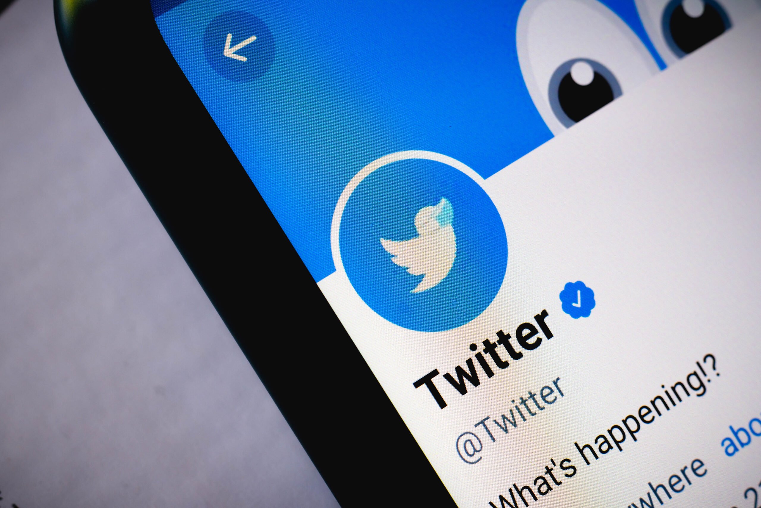 Should I Buy Twitter Stock Before it Goes Private?